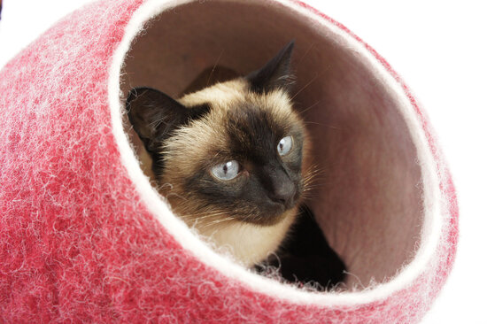 Kivikis Cat Cave kattenhuis kattenmand burgundy red rood