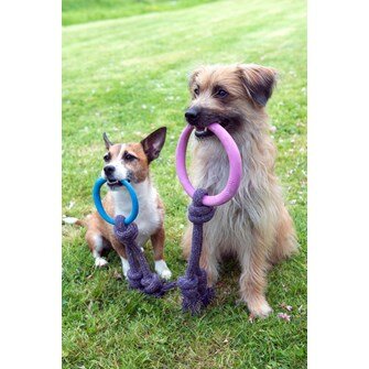 Beco Hoop met touw duurzaam hondenspeelgoed