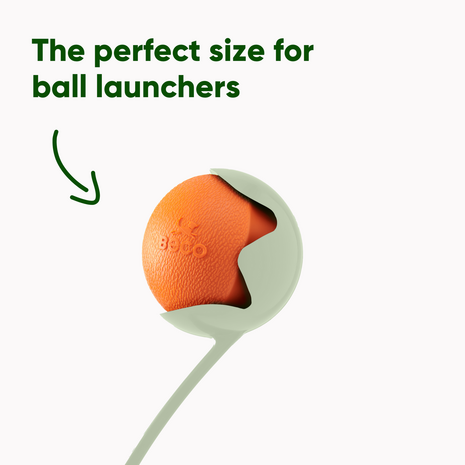 Beco Fetch Ball werpbal