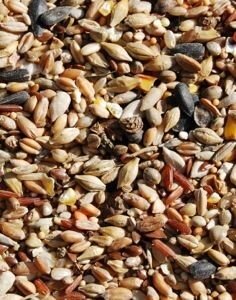 bio-ron voor vogels, biologisch vogelvoer