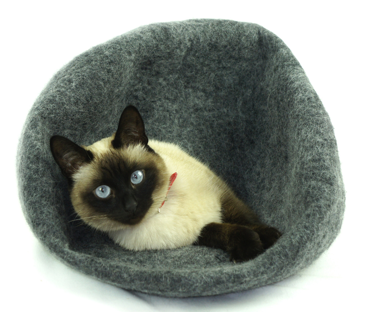 Kivikis cat best sale house