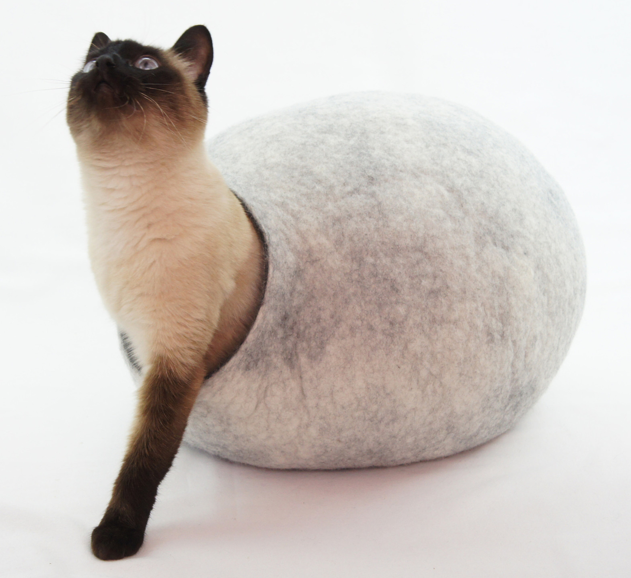 Kivikis cat on sale cave