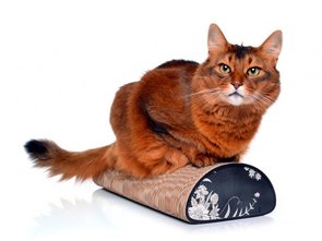 Cat-on Krabmeubel "Le Pain"