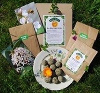 Blije Bijen Ballen set