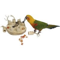ZooFaria Birdpad