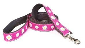 Hondenriem (Earth Dog), model: Astrid-II